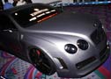 sema-2009-2-s